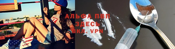 ECSTASY Щучье