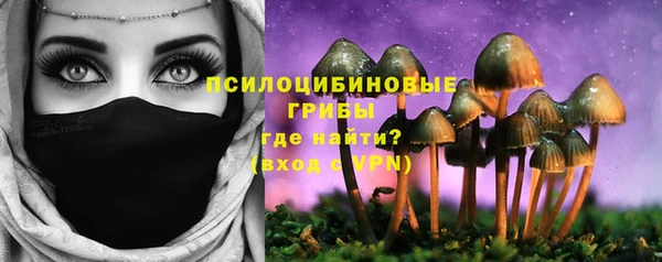 ECSTASY Щучье