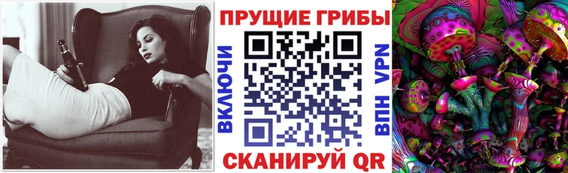 Купить  Оленегорск  Галлюциногенные грибы Psilocybine cubensis 